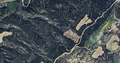 Denizli, Pamukkale, Satılık, Tarla
