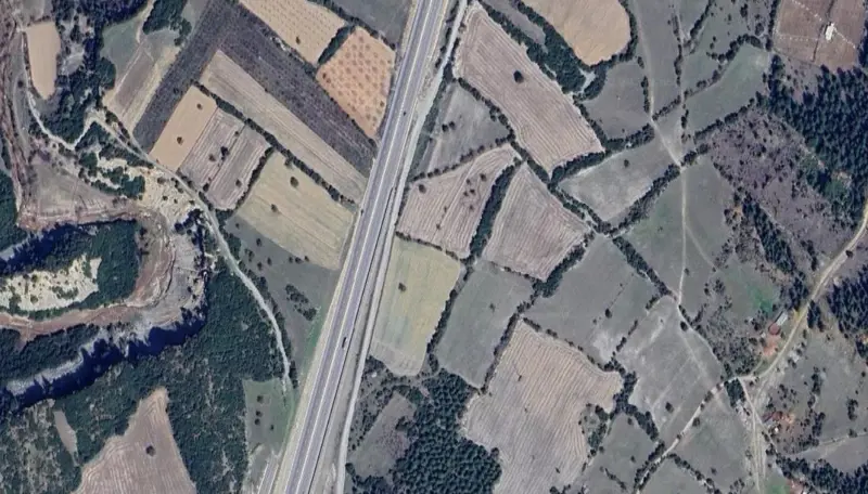 354.jpg