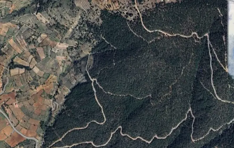 Güzelpınar Mah., Satılık, Tarla, 2.824 m² — fotoğraf 2