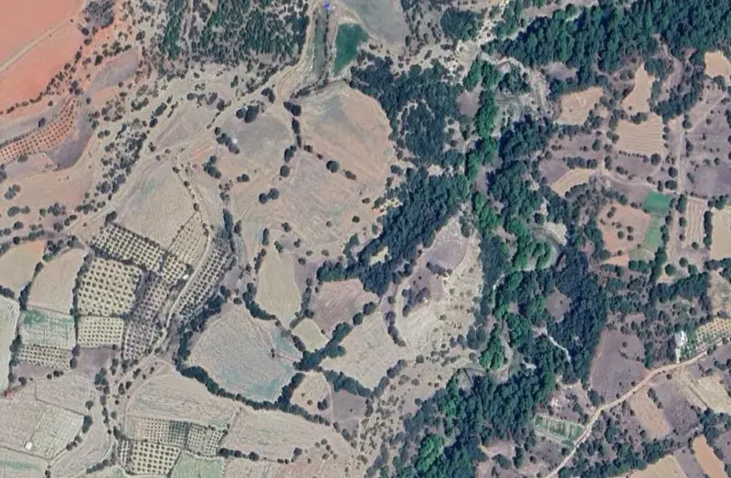 1900.jpg