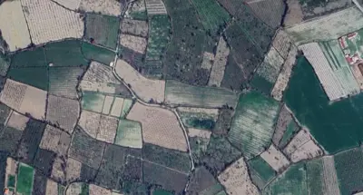 Denizli, Honaz, Satılık, Tarla