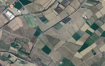 Denizli, Eldenizli, Tarla