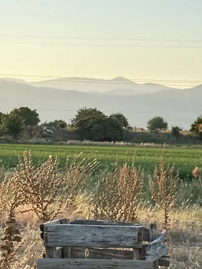 Gürlek Mah., Satılık, Tarla