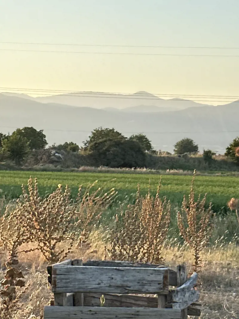 Gürlek Mah., Satılık, Tarla, 32.156 m² — fotoğraf 1