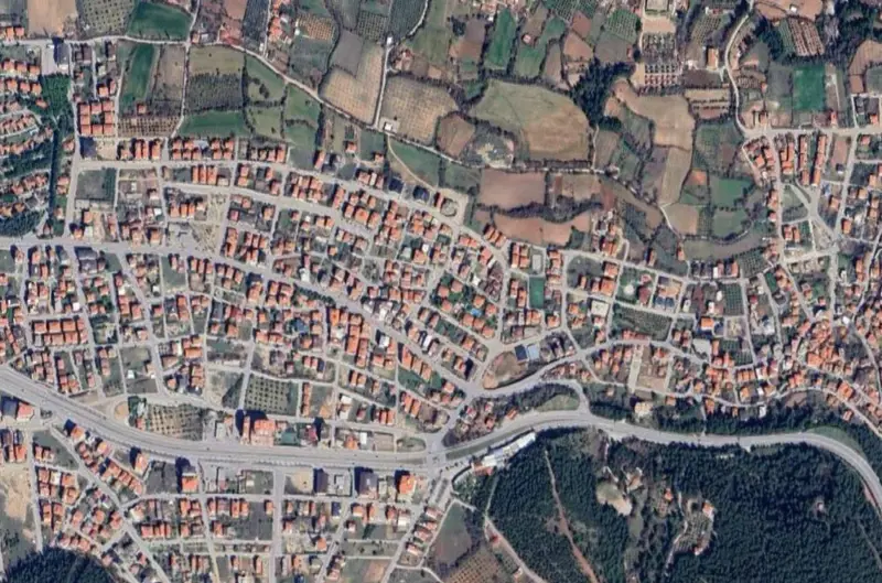 2145.jpg