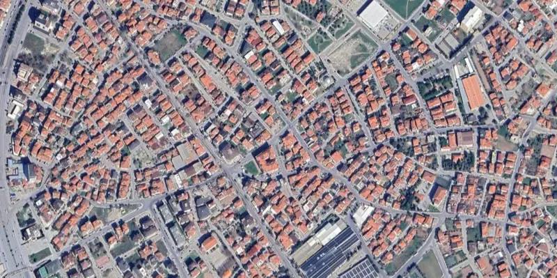 976.jpg