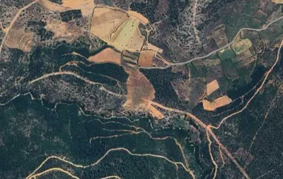 Denizli, Tavas, Satılık, Tarla