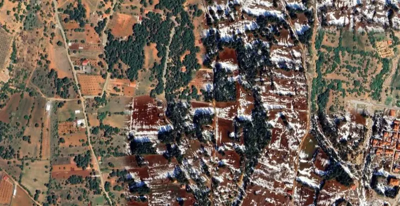 487.jpg