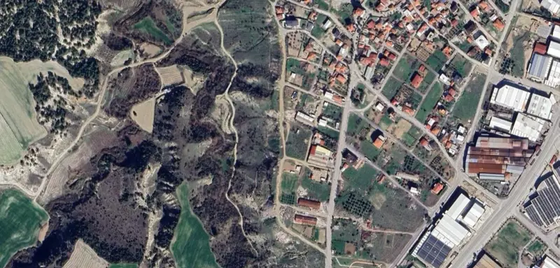 113.jpg