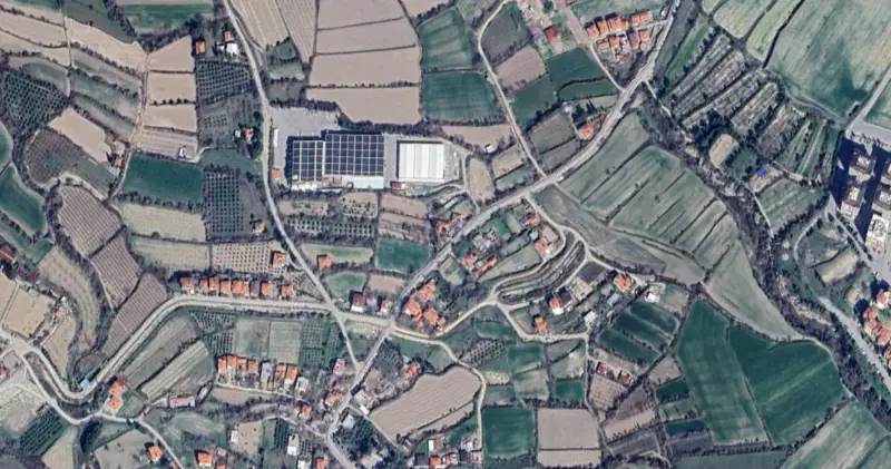1456.jpg