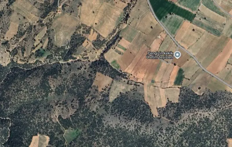 Güzelpınar Mah., Satılık, Tarla, 49.001 m² — fotoğraf 2
