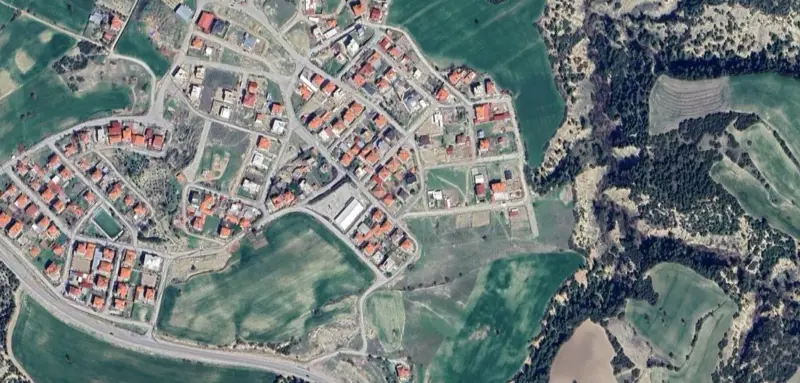 1256.jpg