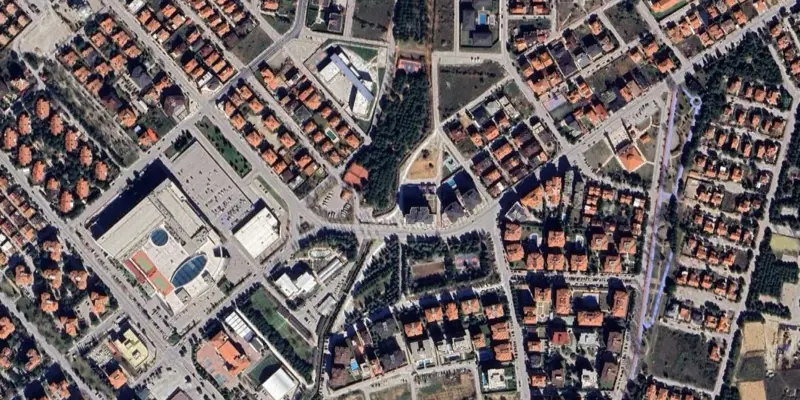 1572.jpg