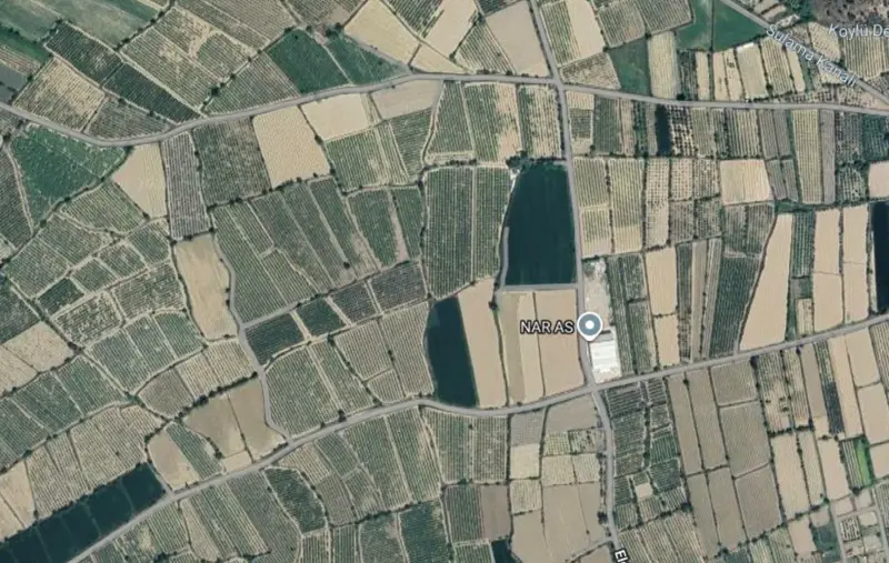 Denizli Pamukkale, Irlıganlı, 20075 m², Tarla — fotoğraf 1