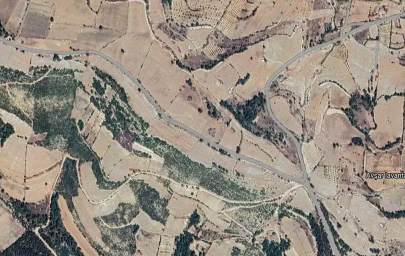 Denizli, Pamukkale, Satılık, Tarla — fotoğraf 1