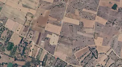 Denizli, Tavas, Satılık, Tarla