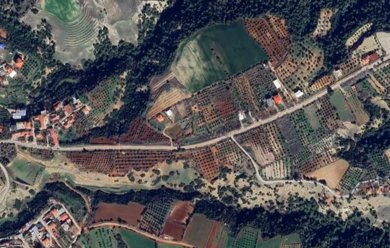 2150.jpg
