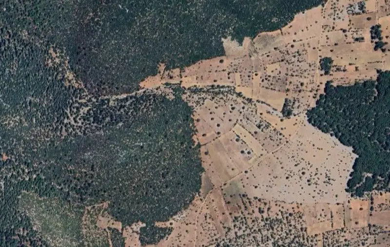 Kuzören Mah., Satılık, Tarla, 63.000 m² — fotoğraf 2