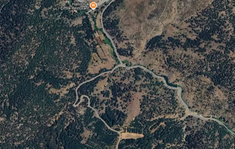 Mevlütler Mah., Satılık, Tarla, 1.585 m² — fotoğraf 1