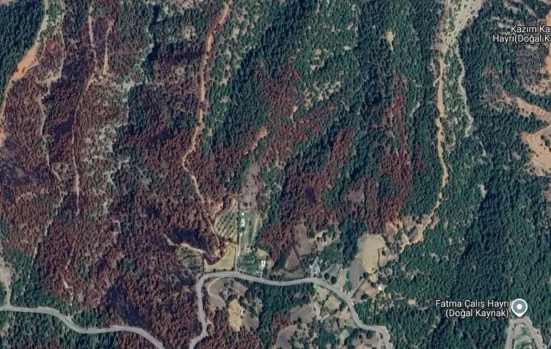 Mollaahmet Mah., Satılık, Tarla, 5.759 m² — fotoğraf 1