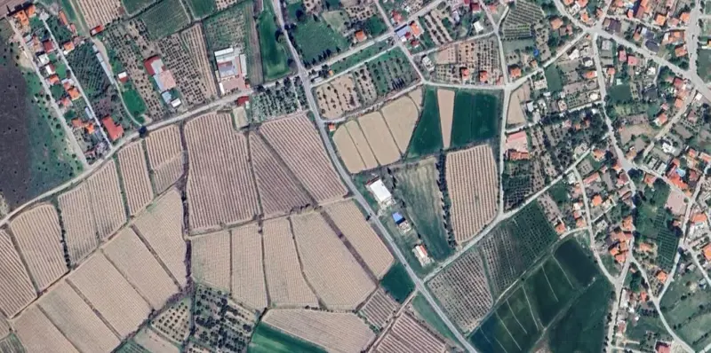 894.jpg