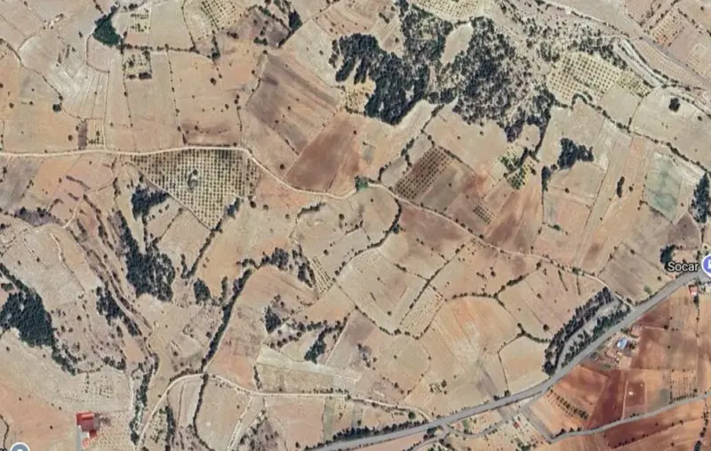 Uzunpınar Mah., Satılık, Tarla, 3.638 m² — fotoğraf 2