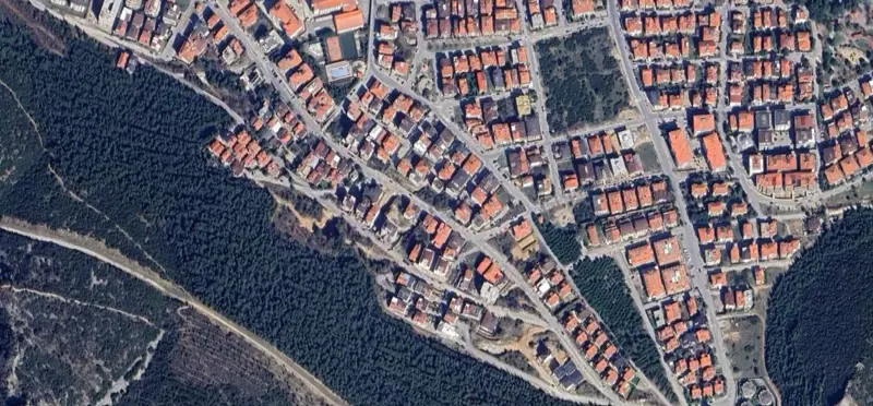 779.jpg