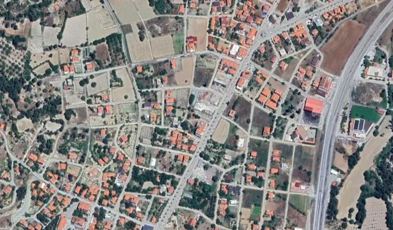 156.jpg