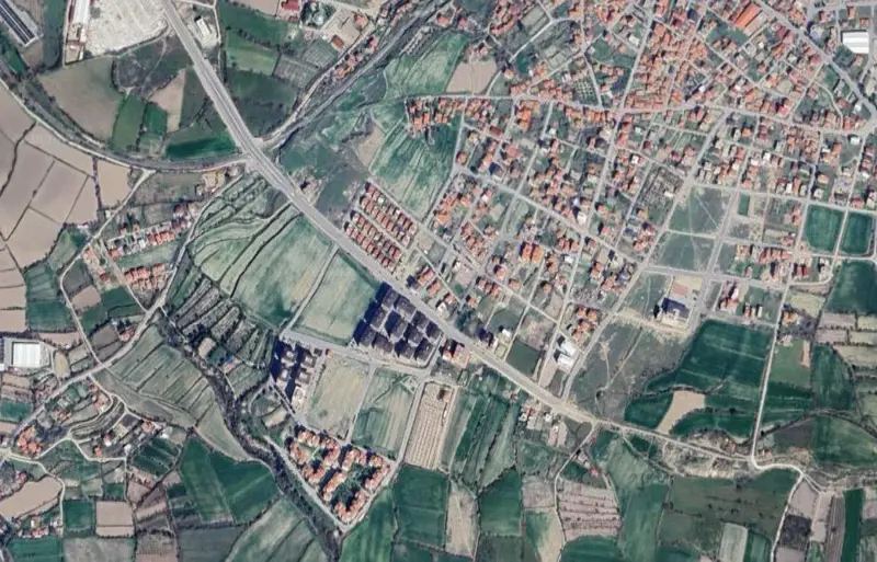2195.jpg