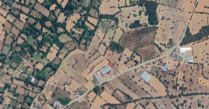575.jpg