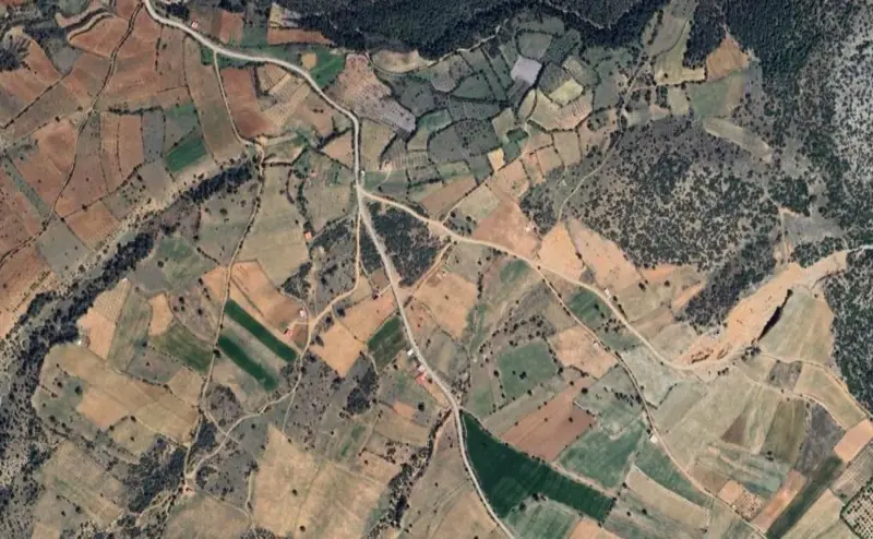 2253.jpg