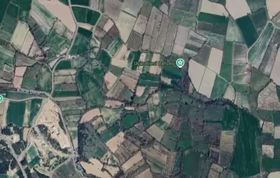 Koyunaliler Mah., Satılık, Tarla, 24.942 m²