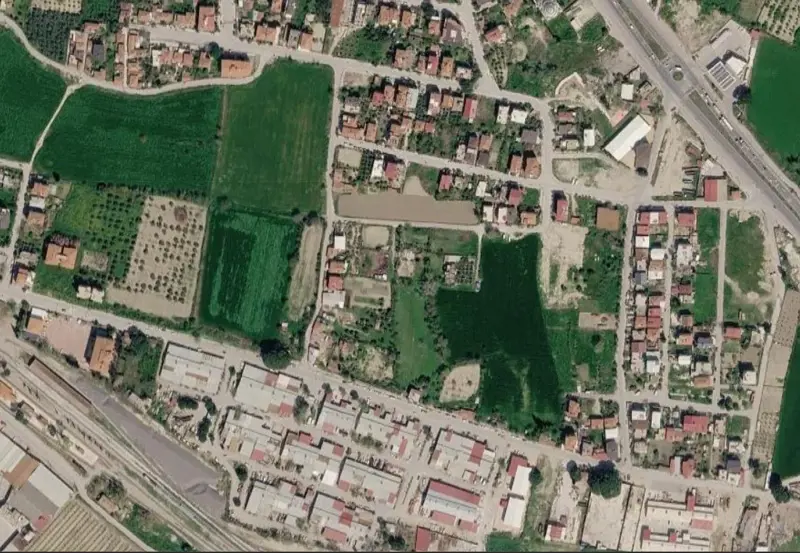 1736.jpg