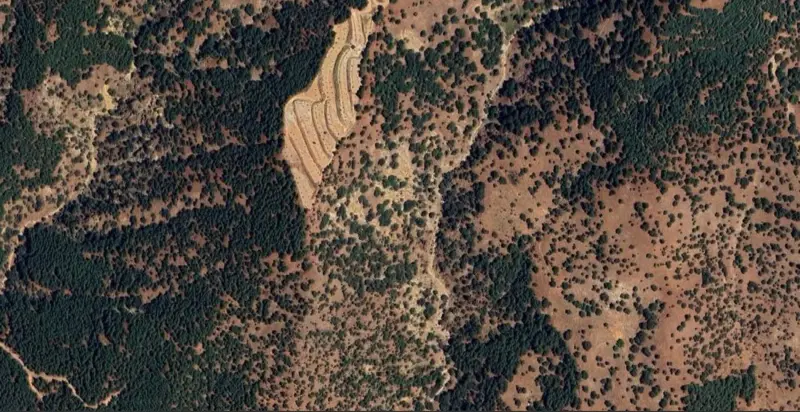1040.jpg