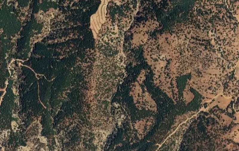 Çatak Mah., Satılık, Tarla, 7.007 m² — fotoğraf 2