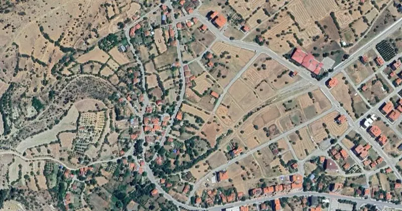 1236.jpg