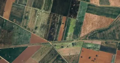 Denizli, Tavas, Satılık, Tarla