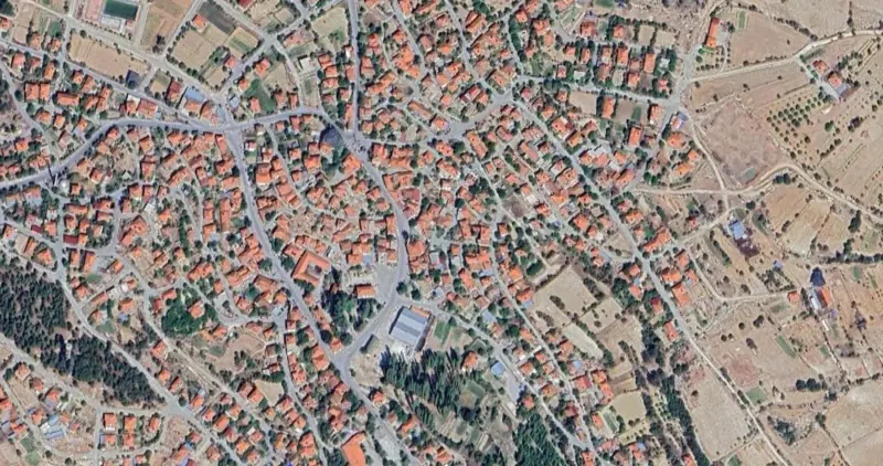 1377.jpg
