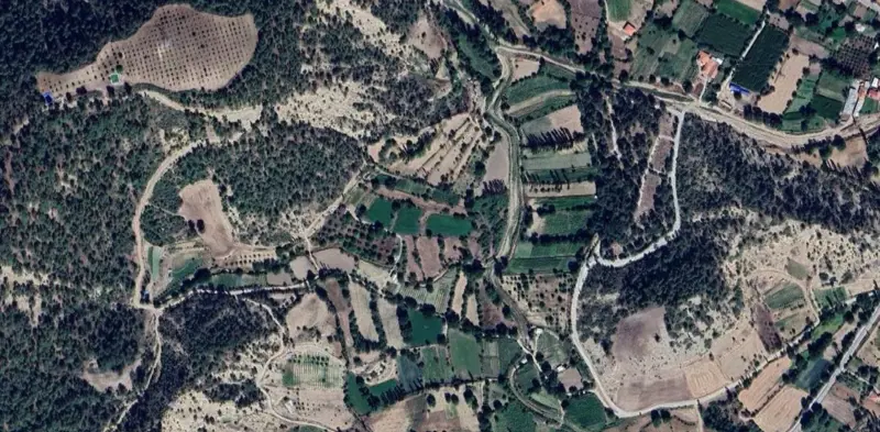 1425.jpg