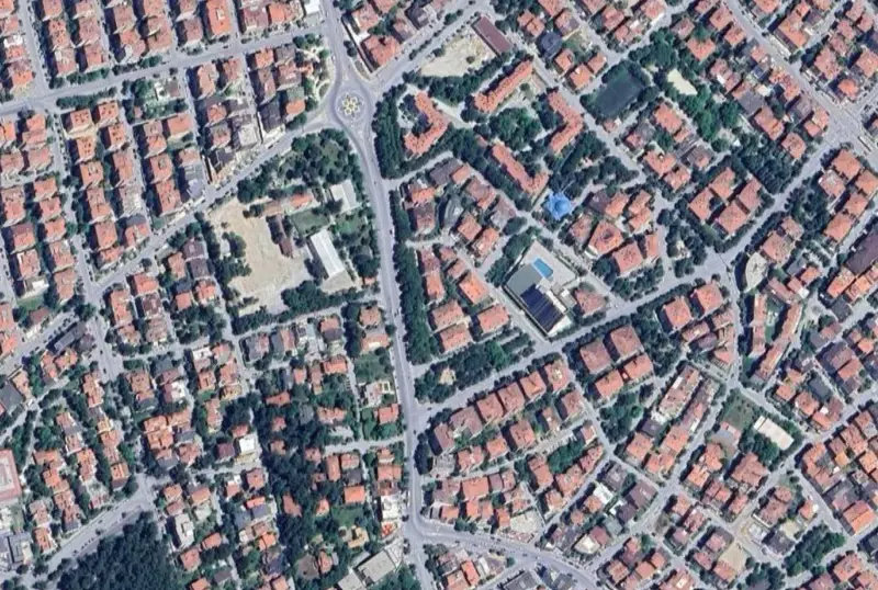 1731.jpg