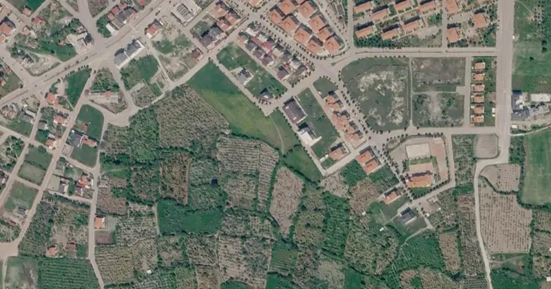 220.jpg