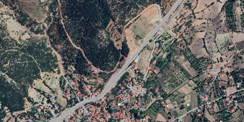 962.jpg