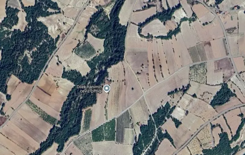 Çamrak Mah., Satılık, Tarla, 10.828 m² — fotoğraf 2