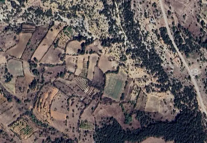 1735.jpg