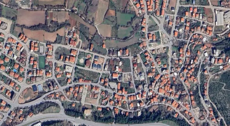 171.jpg