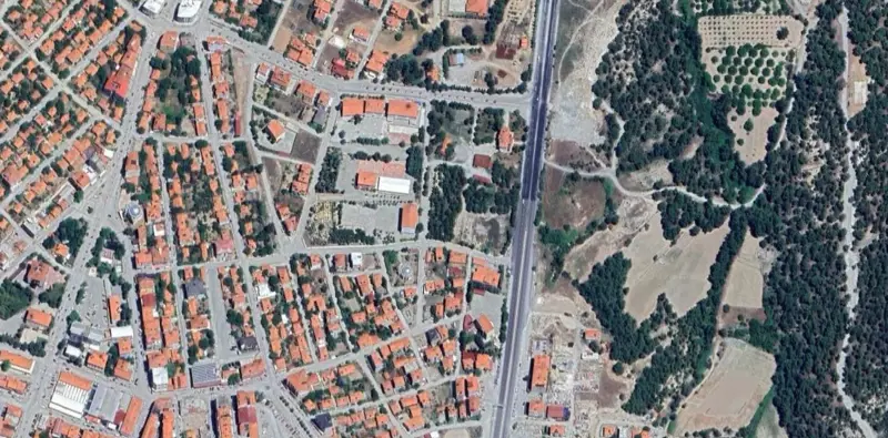 576.jpg