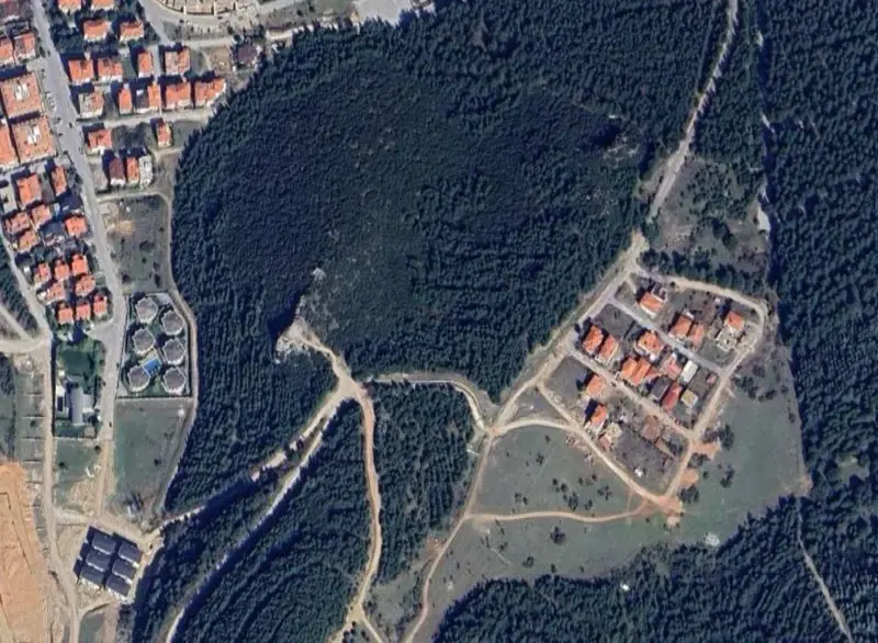 1751.jpg