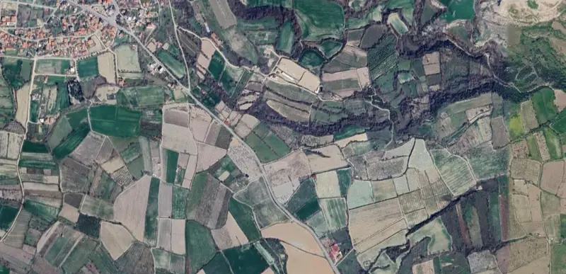 1567.jpg