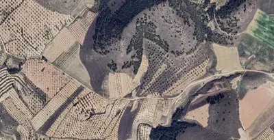 Denizli, Pamukkale, Satılık, Tarla