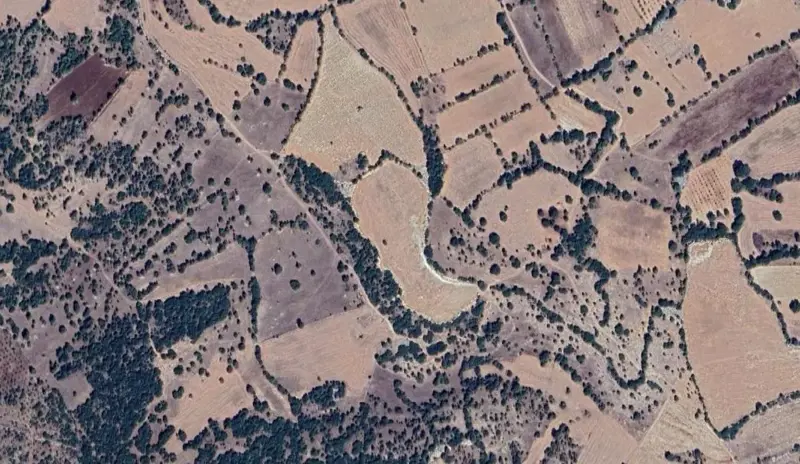 351.jpg